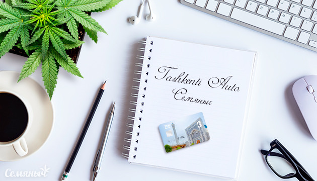 Гроурепорт сорта Tashkenti Auto